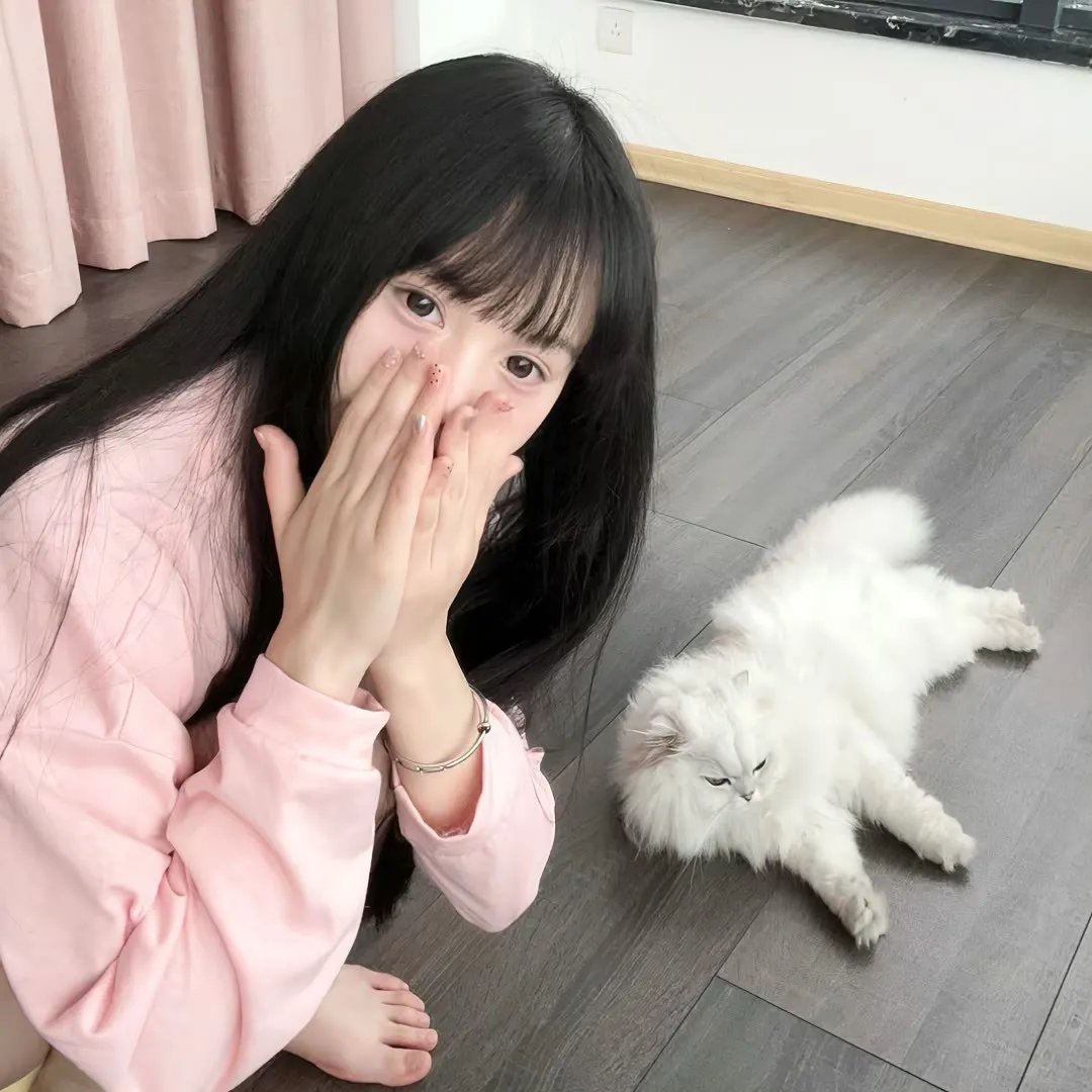 宝窗选婿